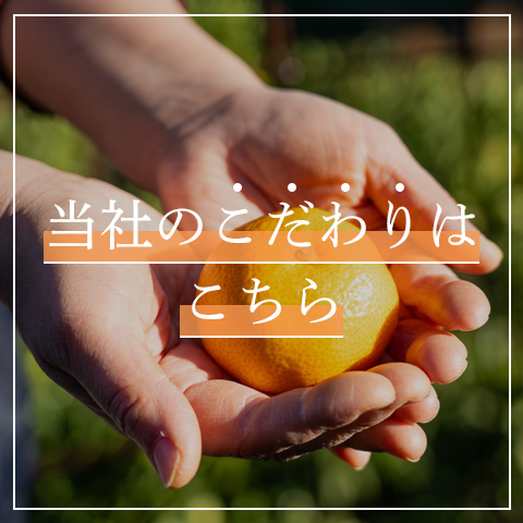 当社のこだわりはこちら